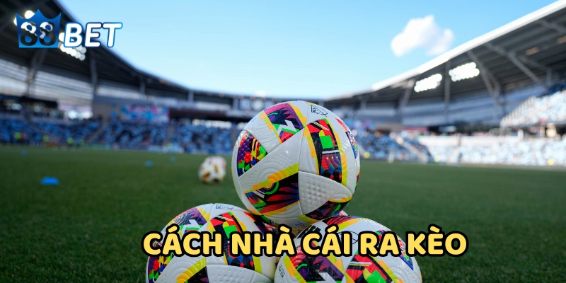 Các loại bẫy phổ biến