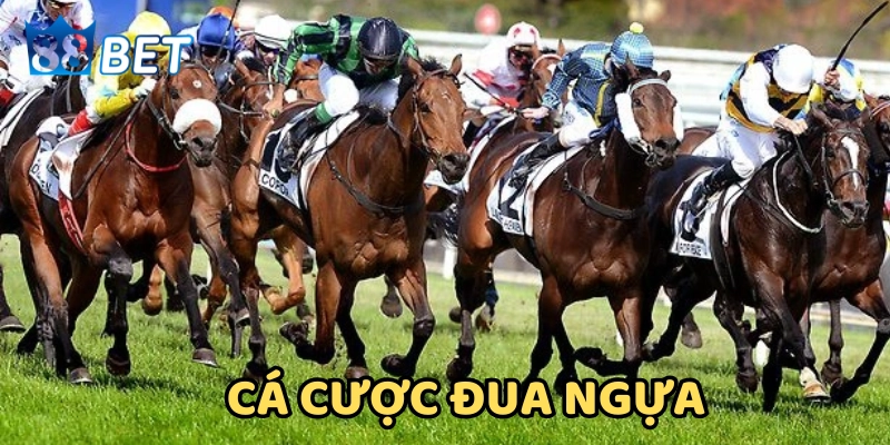 Có Thể Làm Giàu Từ Cá Cược Đua Ngựa? Sự Thật Làm Bạn Bất Ngờ